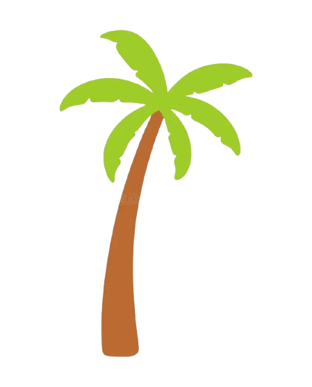 Palm Tree